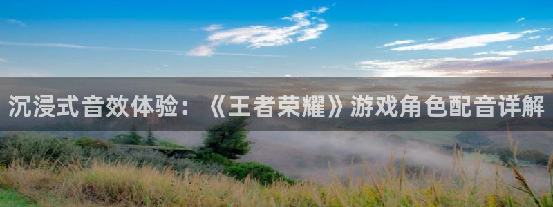 长征娱乐登陆地址：沉浸式音效体验：《王者荣耀》游戏角色配音详