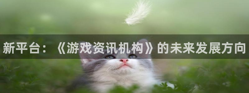 长征娱乐注册网站：新平台：《游戏资讯机构》的未来发展方向