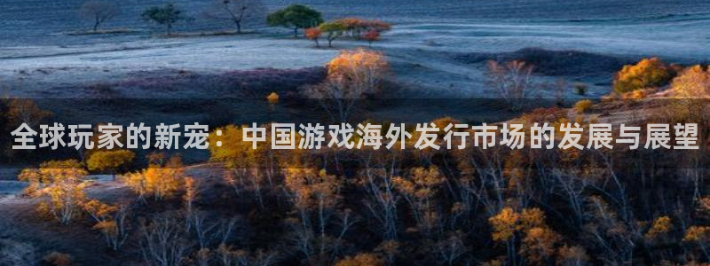 长征娱乐登陆测速：全球玩家的新宠：中国游戏海外发行市场的发展
