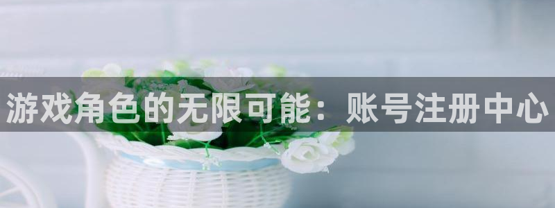 长征娱乐集团：游戏角色的无限可能：账号注册中心
