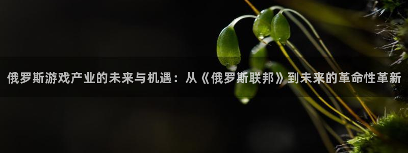 长征娱乐在线登录：俄罗斯游戏产业的未来与机遇：从《俄罗斯联邦