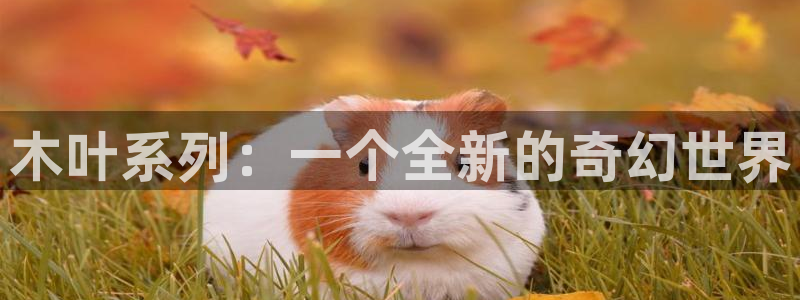 长征娱乐平台登录：木叶系列：一个全新的奇幻世界