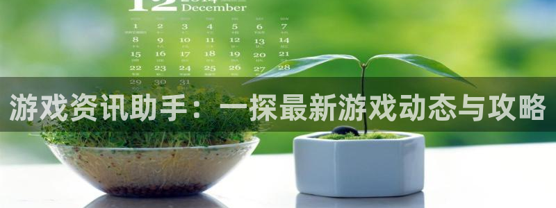 长征娱乐登陆：游戏资讯助手：一探最新游戏动态与攻略