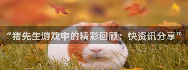 长征娱乐测速：“猪先生游戏中的精彩回顾：快资讯分享”