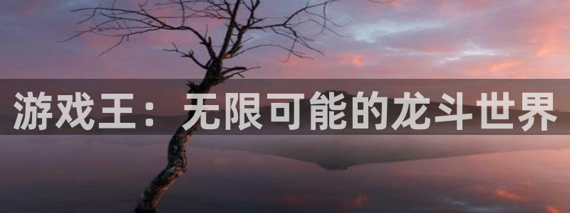 长征娱乐平台注册资金多少：游戏王：无限可能的龙斗世界