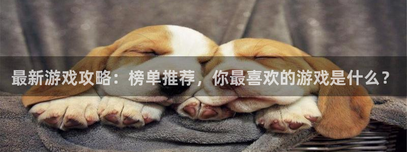 长征娱乐平台有哪些