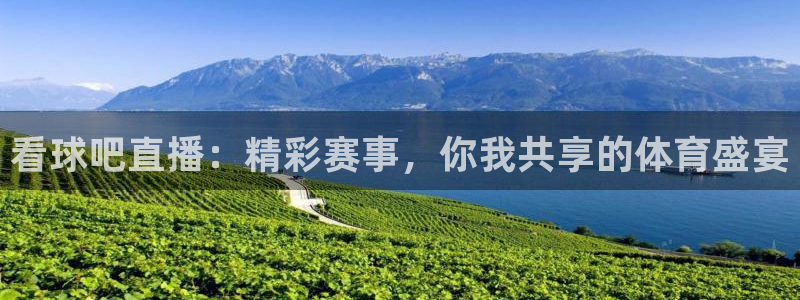 极速体育在线观看：看球吧直播：精彩赛事，你我共享的体育盛宴