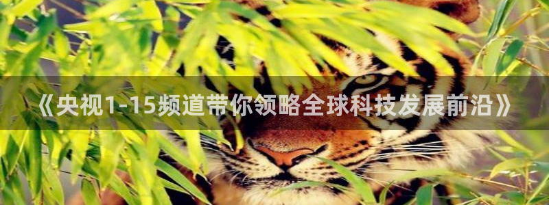 jrs极速体育nba直播吧：《央视1-15频道带你领略全球科技发展前沿》